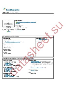 ER58R10JT datasheet  